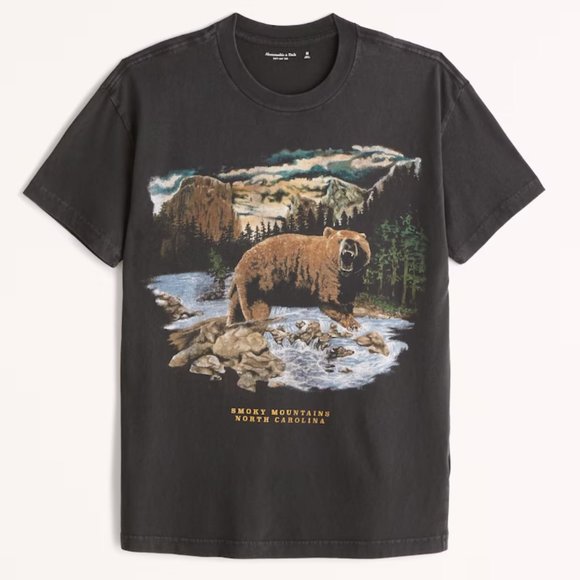 Abercrombie & Fitch Tops Great Smoky Mountains National Park Tshirt
